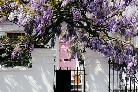 Bridging finance is an option for 'wait and see' borrowers as rates begin to fall