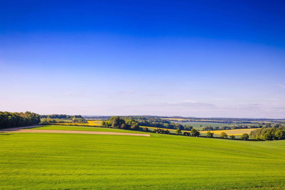 Fast and flexible bridging finance delivered in just 6 days
