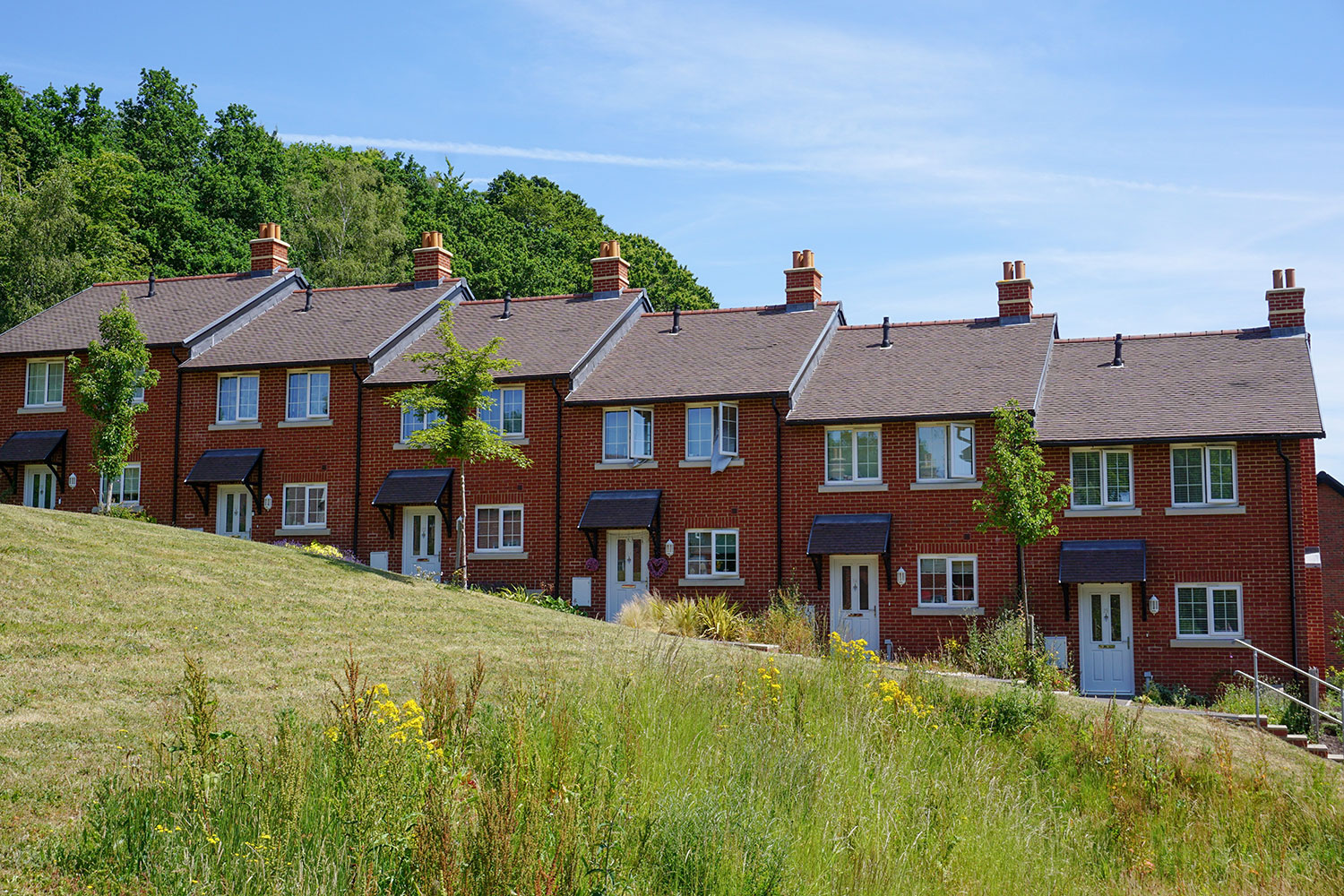 Consumer BTL opportunities for home movers