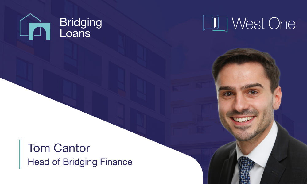 Are mainstream market woes providing a boost for the bridging sector?